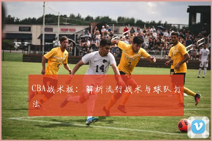 CBA战术板：解析流行战术与球队打法