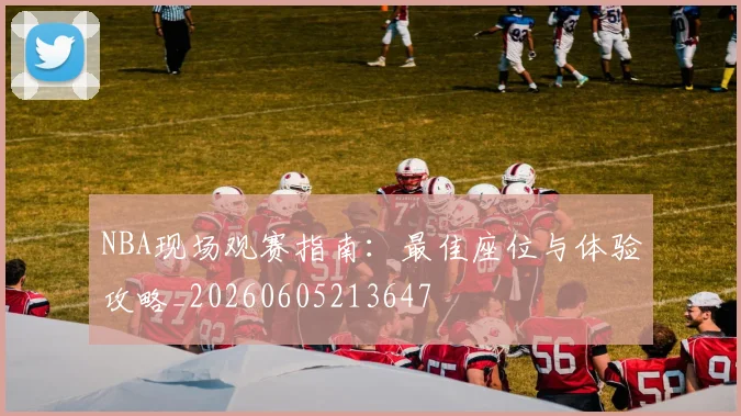 NBA现场观赛指南:最佳座位与体验攻略_20260605213647