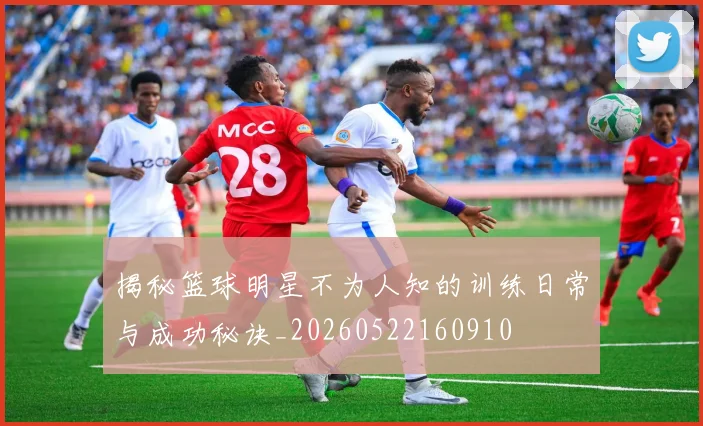 揭秘篮球明星不为人知的训练日常与成功秘诀_20260522160910